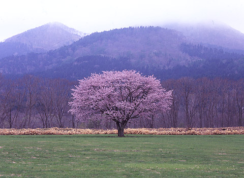 北海道弟子屈町.jpg