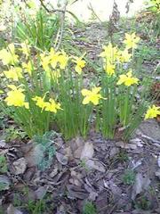 Image0221.jpg