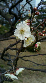 春はすぐそこ