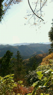 この先は江ノ島