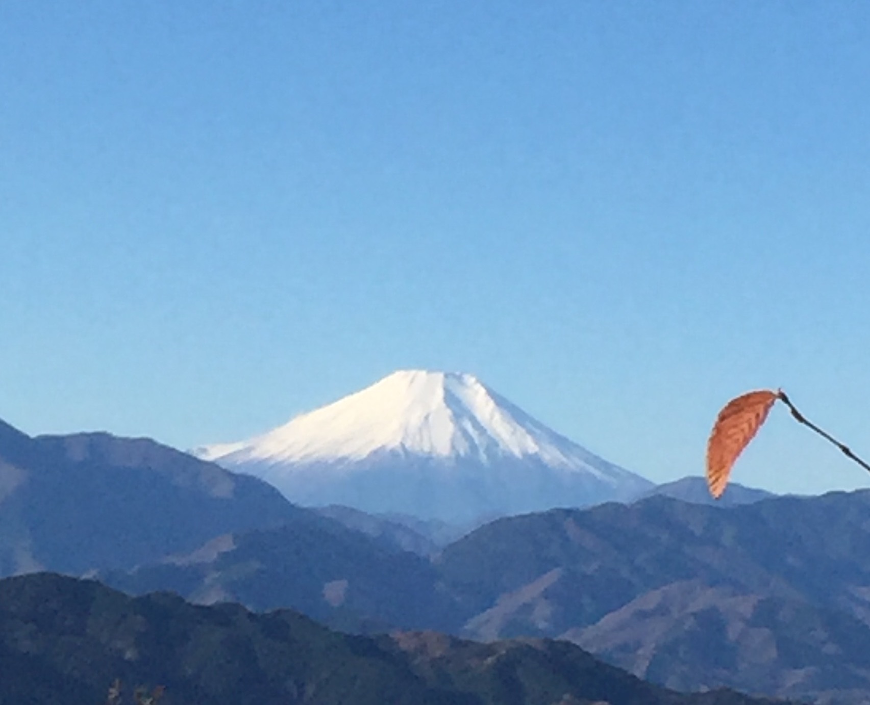 さらにくっきり