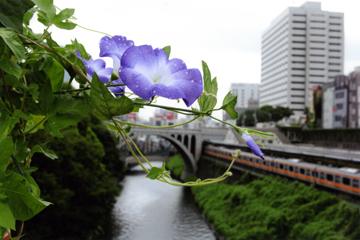 080814_03.jpg