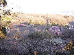 090206mogusaen-oka.jpg