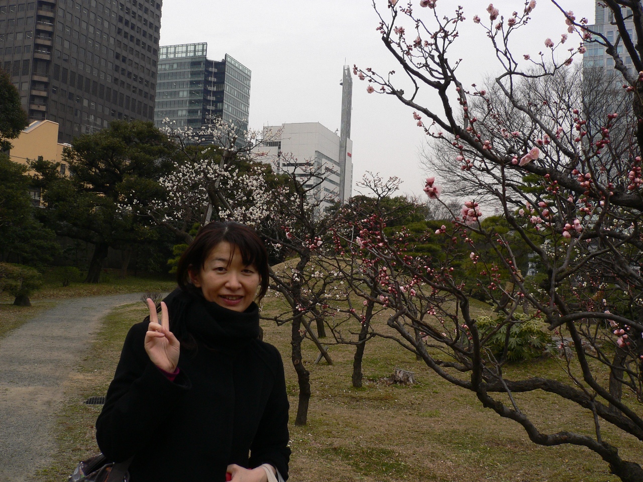 090213ume.JPG