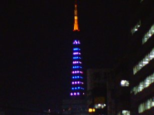 091125tower2.JPG