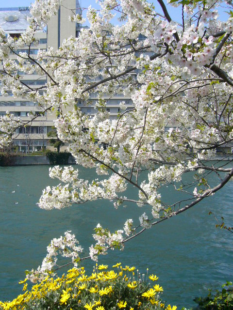 P1000158.JPG