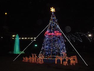 クリスマスツリー.JPG
