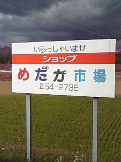 めだか市場看板連絡はここへ.jpg