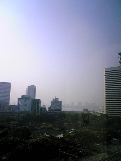 0705240730日差し.jpg