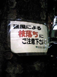 071127表参道けやき張り紙.jpg