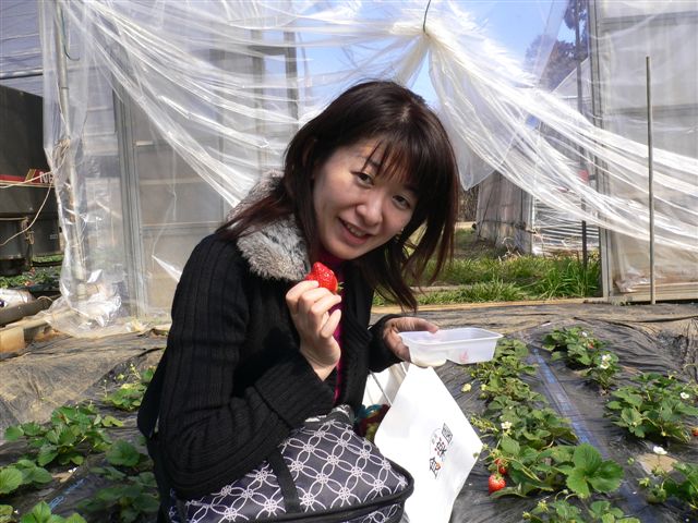 080220いちご1.jpg