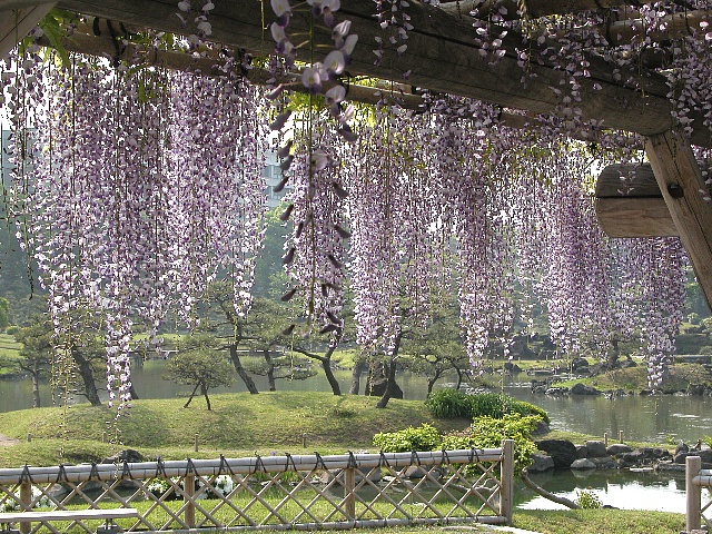 0804旧芝フジ2.jpg