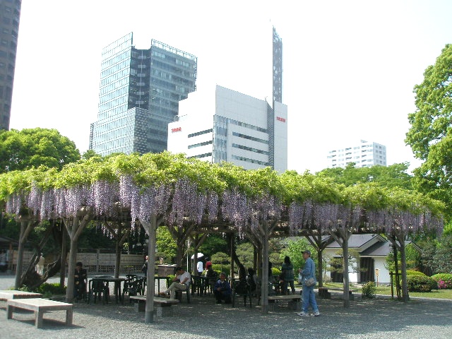 0804旧芝フジＱＲ.jpg
