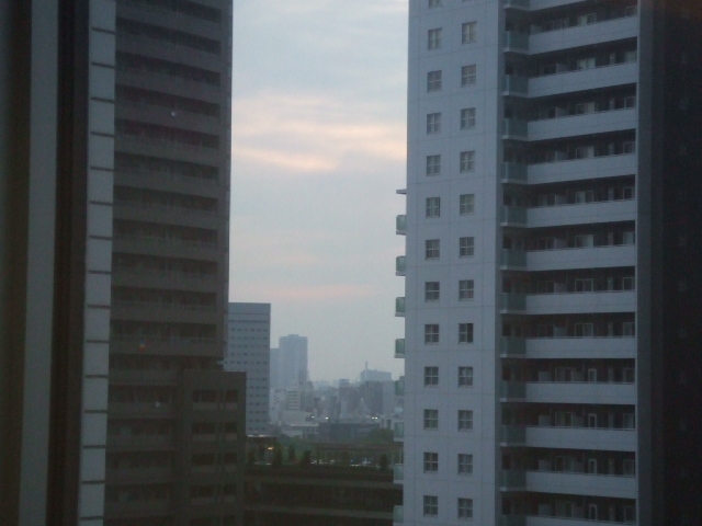 6041.JPG