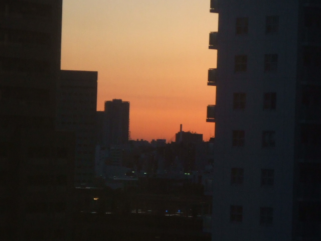 DSCF0911.JPG