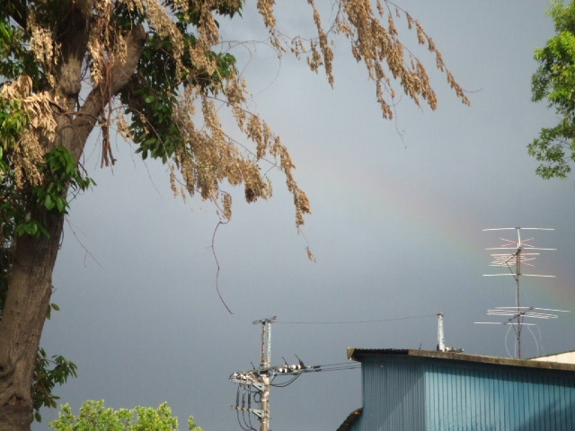 DSCF1011.JPG