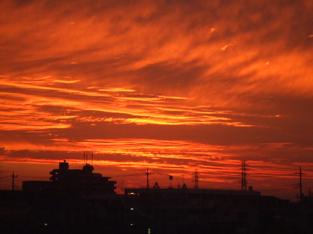 DSCF1282.JPG
