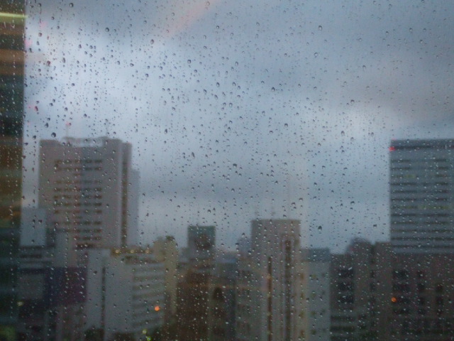 DSCF1461.JPG