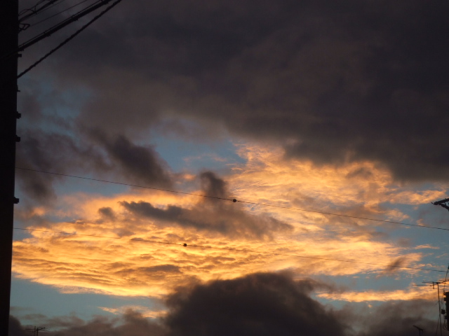 DSCF1501.JPG