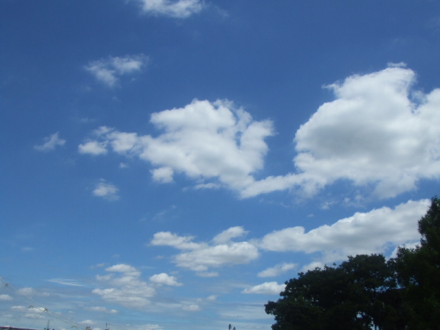 DSCF1527.JPG
