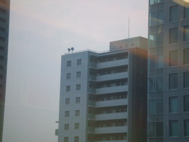 DSCF1619.JPG