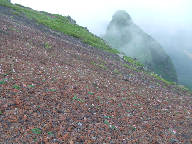 DSCF1638.JPG