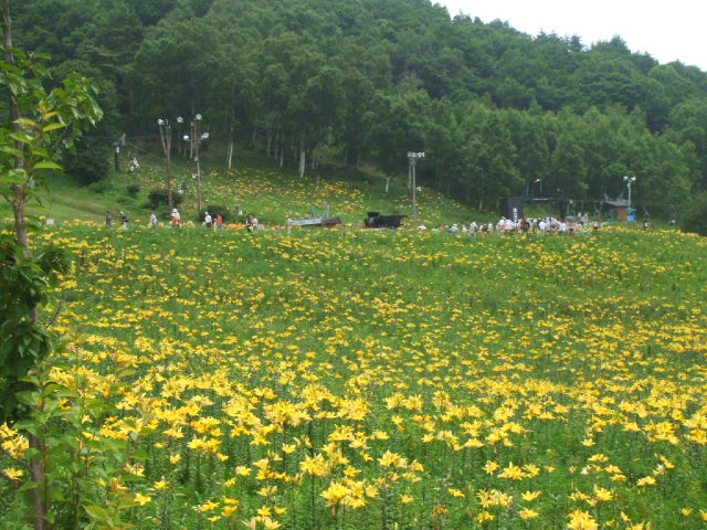 DSCF1651.JPG