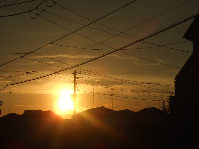 DSCF1724.JPG