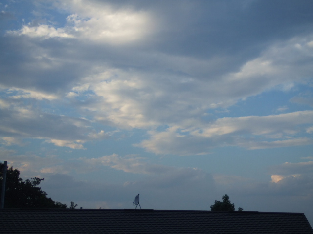 DSCF1844.JPG