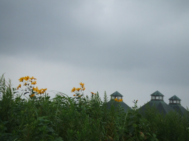 DSCF2082.JPG