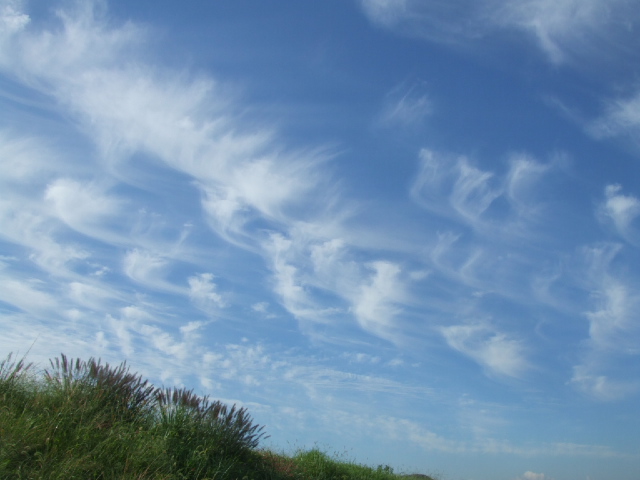 DSCF2191.JPG