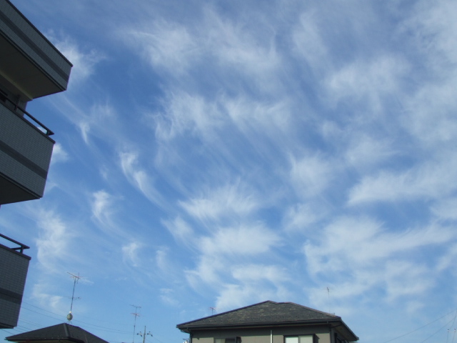 DSCF2196.JPG