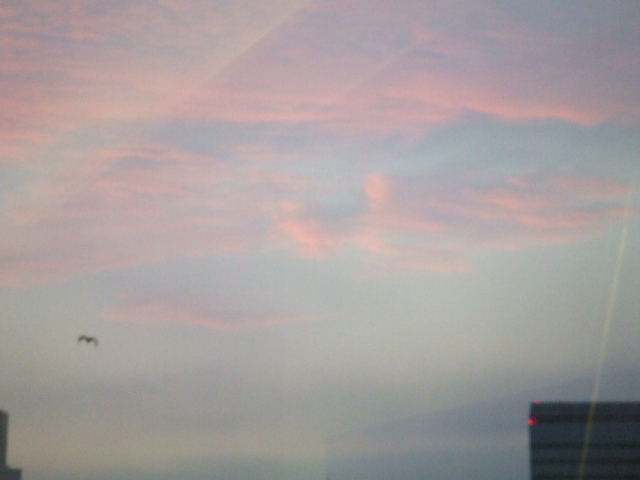 DSCF2310.JPG