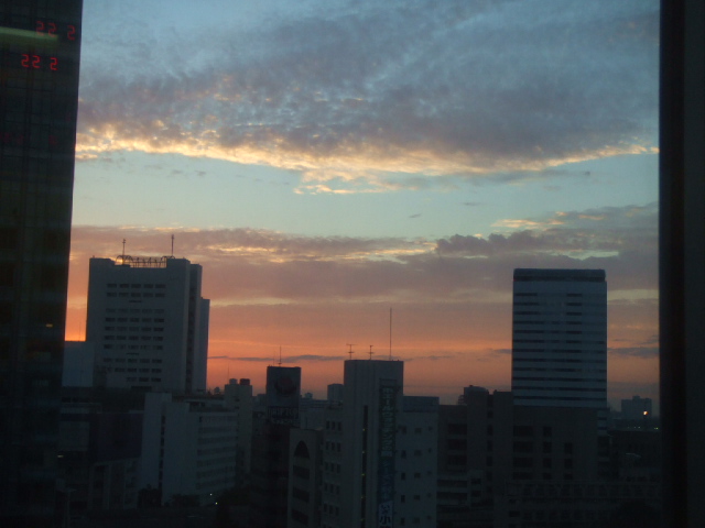 DSCF2381.JPG