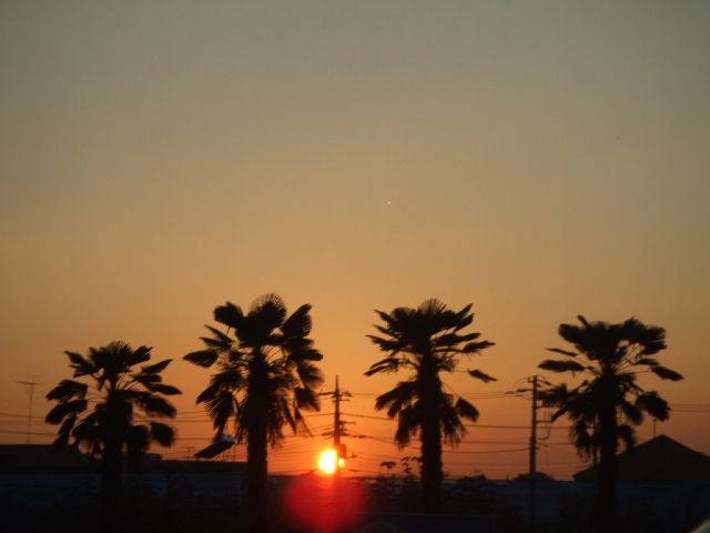 DSCF2506.JPG