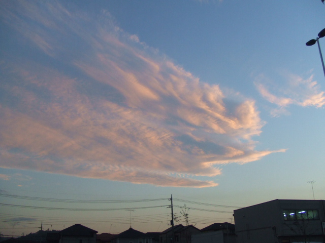 DSCF2507.JPG