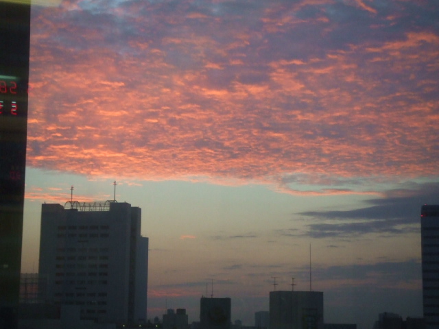 DSCF2574.JPG