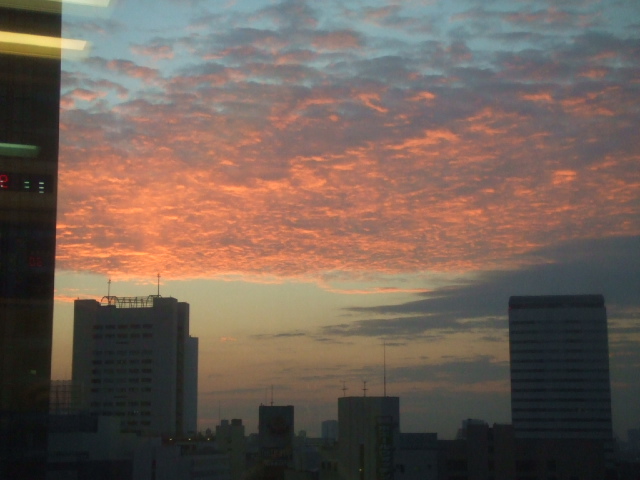 DSCF2575.JPG