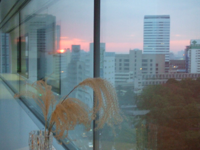 DSCF2595.JPG