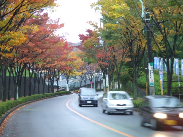 DSCF2630.JPG
