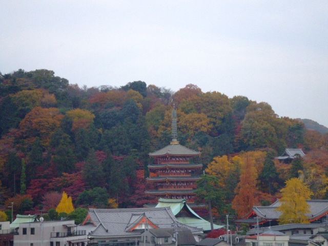 DSCF2810.JPG