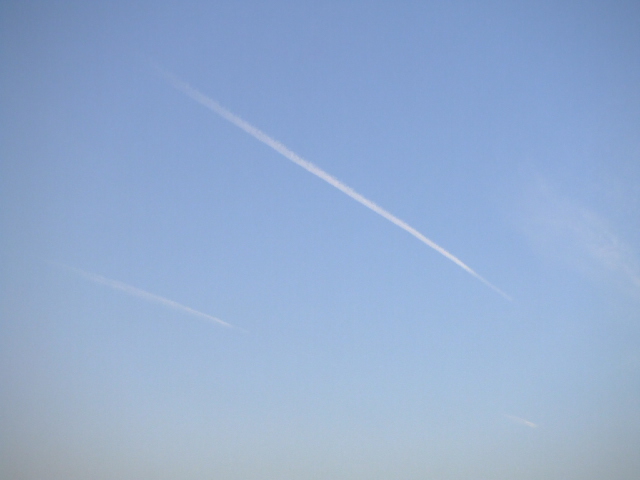 DSCF2829.JPG