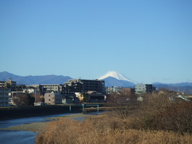 DSCF3095.JPG