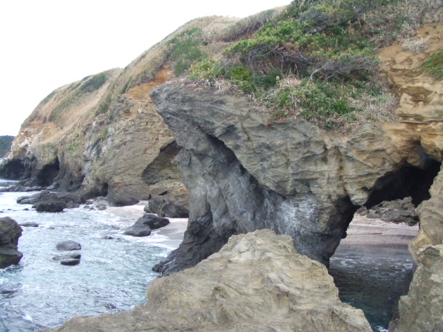 DSCF3196.JPG