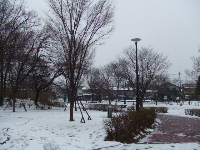 DSCF3323.JPG