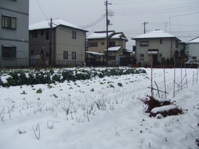 DSCF3324.JPG