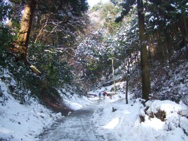 DSCF3365.JPG
