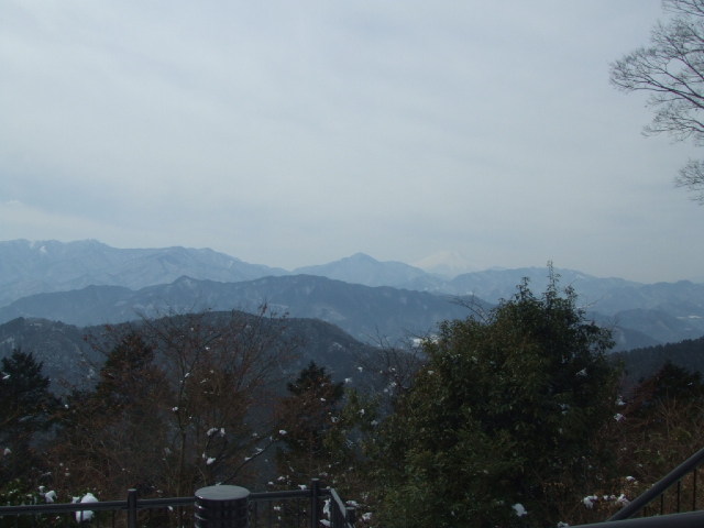 DSCF3374.JPG