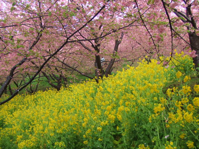 DSCF3609.JPG