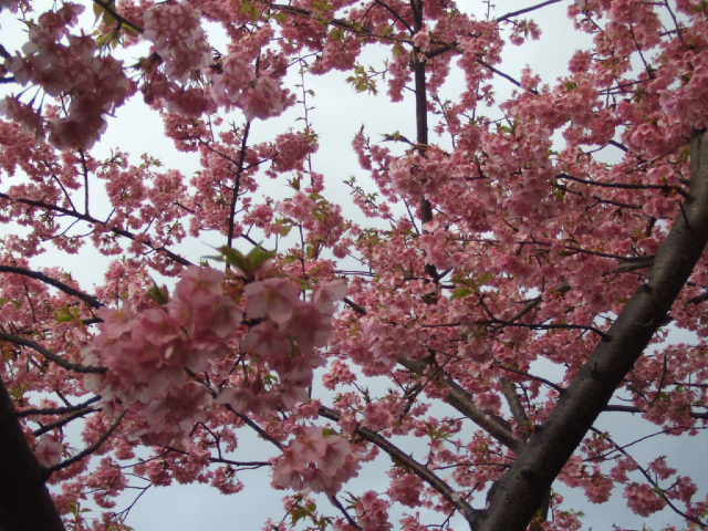 DSCF3611.JPG